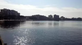 Denizin Üzerinde Esrarengiz Işık