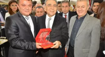 'İzmir Küllerinden Doğuyor'