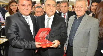 İzmir Küllerinden Yeniden Doğuyor