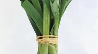 Kocaeli'de Sebze ve Meyve Fiyatları