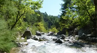 Eren: Sizin Dönem Bizim Dönem Yok