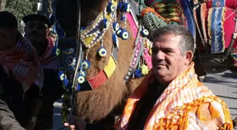 Develerle Şehir Turu