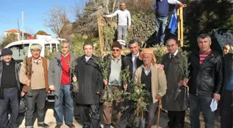 Payamlı Köyünde Yanan Ağaçların Yerine Yeni Fidanlar Dağıtıldı