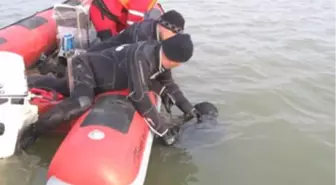 Tekirdağ Gölde Kaybolan Son Avcıyada Ulaşıldı Gölde Kaybolan Son Avcıyada Ulaşıldı