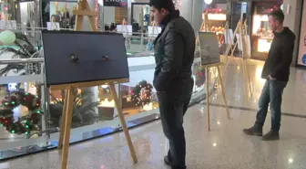 Sergiyle Sulak Alanları Tanıtıldı