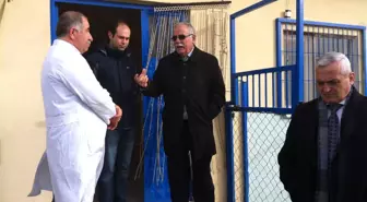 Hayvan Barınağı Ziyarete Açılacak