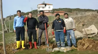 Kula'da Gölet Çevresi Yeniden Ağaçlandırılıyor