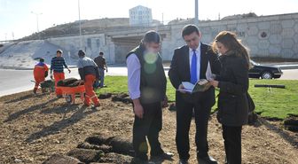 Başkan Vekili Bakıcı Yeşil Alan Çalışmalarını İnceledi
