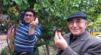 Kış Ortasında Meyve Veren Karadut Şaşırttı