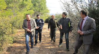 Türk Atletler Çal'da Koşacak