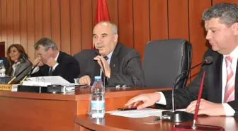 Aydın İl Genel Meclisi Köylerin Sorunlarını Çözüyor