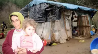 Ormanda Çadırda Yaşayan Aileye Belediyeden Yardım