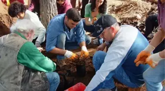 10 Dakikada Yandı, 10 Yılda Yeşerecek