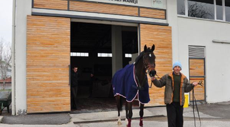 Atlarla Engelini Aştı, Ekmeğini Kazanmaya Başladı