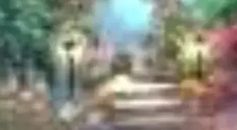 Cennet Çarşıları