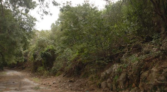 Milli Park'ta Ceset Aranıyor
