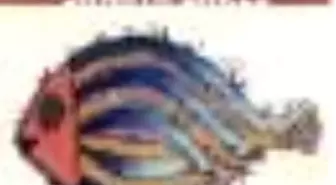 Sabahattin Eyüboğlu'nun Denemelerinde Sanata Bakış Kitabı