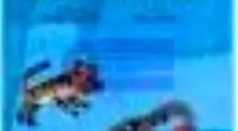 Afacan Resimler Kitabı