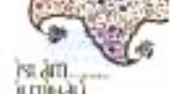 İslam İlmihali Kitabı