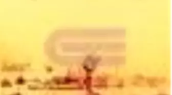 Curnalcilikten Teşkilatı Mahsusa'ya Kitabı