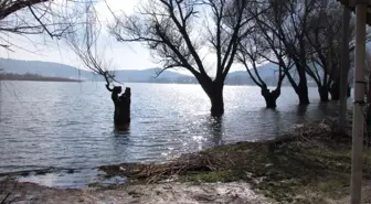 Gölcük Yaylası Kış Mevsiminde de Bir Başka Güzel