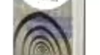 Vatan Millet Diyarbakır Kitabı