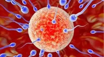 'Dünya Kısırlaşıyor'