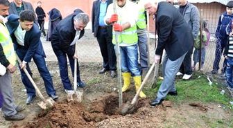 Siirt Belediyesi'nden Ağaç Dikim Çalışmaları