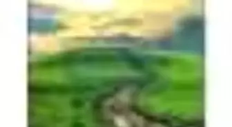 Böğürtlen Zamanı Kitabı