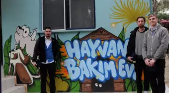 Havyan Bakımevi Grafiti ile Renklendi