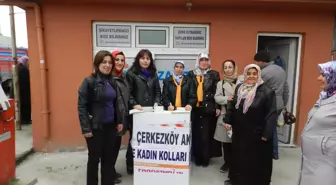 AK Parti Kadın Kolları'ndan Üye Çalışması