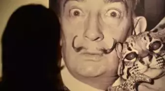 Dali İçin Son Fırsat