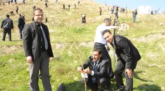 Cizre Adliyesi 4 Bin Fidanı Toprakla Buluşturdu