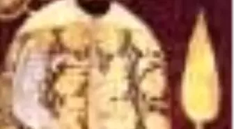 Impressions Of Ottoman Culture İn Europe : 1453-1699 Kitabı