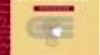 Entelektüelin Kutsal Kitabı: Biyografiler (Ciltli) Kitabı