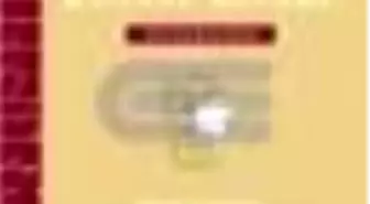 Entelektüelin Kutsal Kitabı: Biyografiler Kitabı