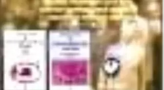 Türkiye Tarihi - 5 Kitap Takım Kitabı