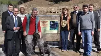 Yatağan'da Alternatif Tarım Çalışmaları