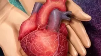 Bir Organ Aldı, Bütün Organlarını Bağışladı