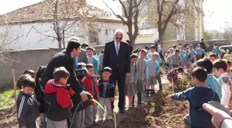 Kaymakam Öğrencilerle Fidanı Dikti