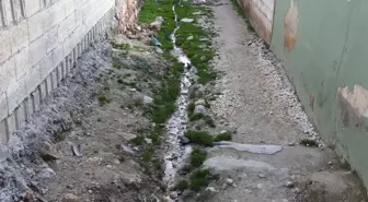 Özel İdare'den Bir İlk Daha