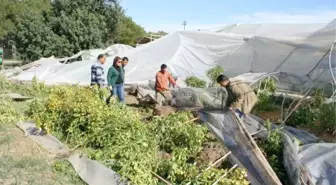 Mersin'de Fırtına Seraları Yıktı