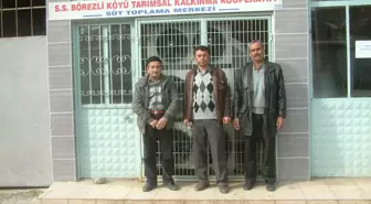 Börezli'de Hayvancılığa Kooperatif Desteği