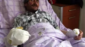 Kurdun Kulağını Isıran Kahraman