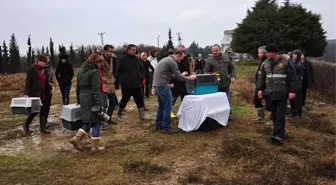 İstanbul Üniversitesi'nde Tedavi Gören Yırtıcı Kuşlara Özgürlüğüne Kavuştu