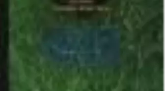 Şimşiir Ağacı Kitabı