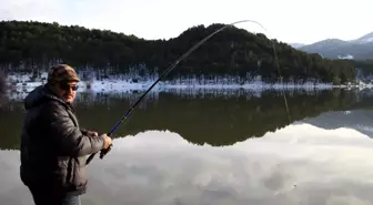 Sazan Balıklarının Av Yasağı 15 Mart'ta Başlıyor