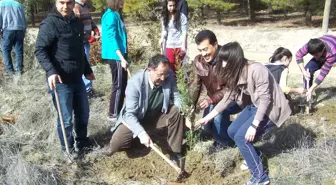 Lisesi Öğrencilerinden Hatıra Ormanı