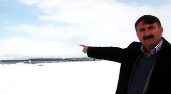 Milyon Lira Değerindeki Süt Sığırcılığı Tesisi Batmanın Eşiğinde