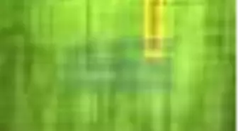 Hegel Ve/veya Spinoza Kitabı